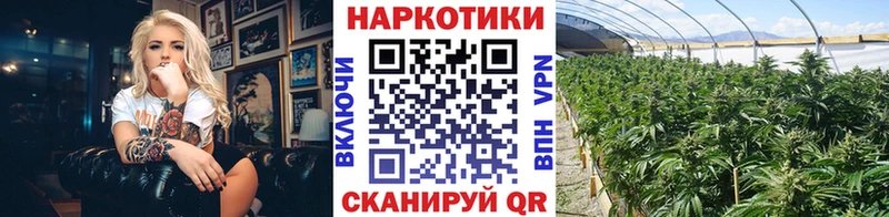 Где купить наркоту Хилок A PVP  Меф 