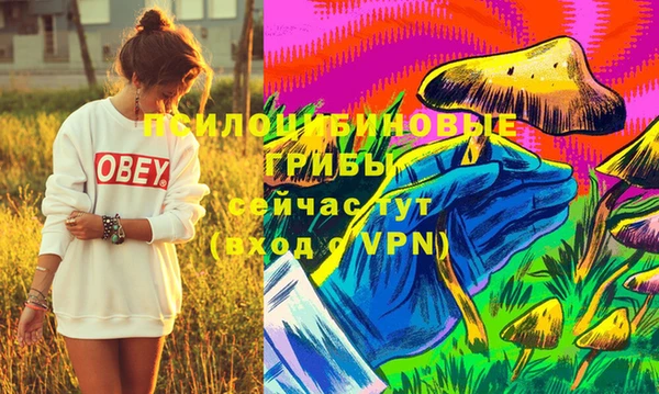 прущие грибы Абаза