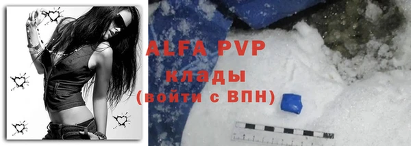 прущие грибы Абаза