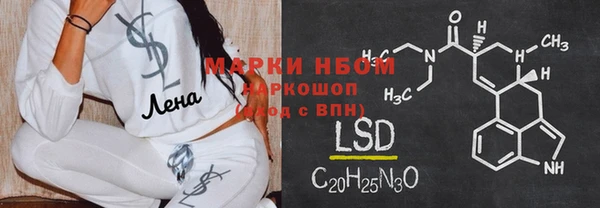 прущие грибы Абаза
