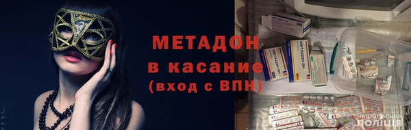 прущие грибы Абаза
