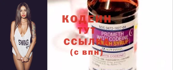 прущие грибы Абаза