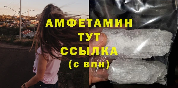 прущие грибы Абаза