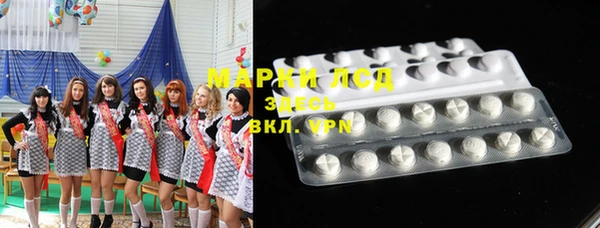 прущие грибы Абаза