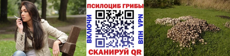Галлюциногенные грибы мухоморы Хилок